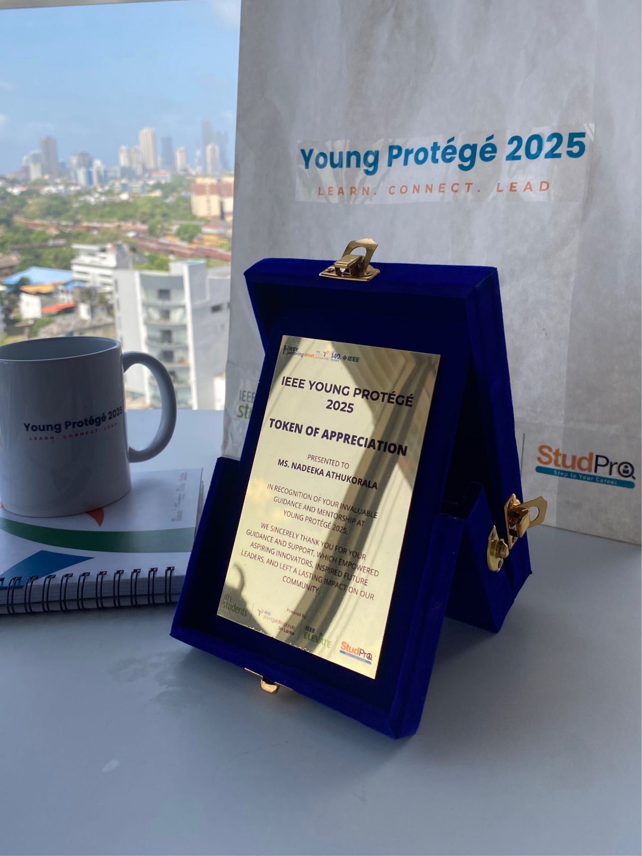 IEEE Young Protégé 2025 Program - Mentor